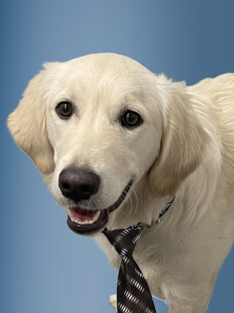 Profile image of Stella